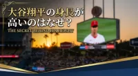大谷翔平の身長が高いのはなぜ？