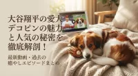 大谷翔平の愛犬デコピンの魅力と人気の秘密を徹底解剖！最新動画・過去の癒やしエピソードまとめ